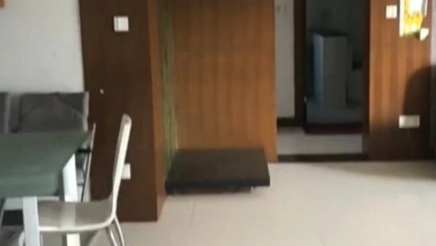 香港最准四肖八码期期准,抖音直播盛典到底有谁在,最新热门解答落实_界面版V8.6