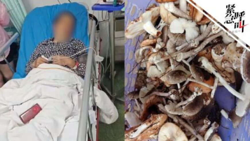 方大同被誉香港唯一不唱粤语歌王,2025澳门免费一码精准资料,权威独家讨论与热门话题_专家版V3.30